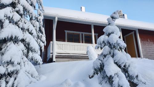 Tilhi Chalet - image 12
