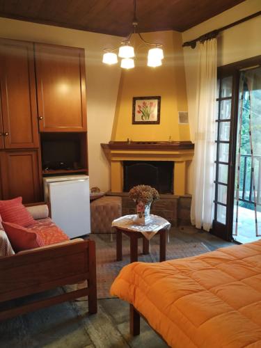  freedom guest house in Tsagkarada
