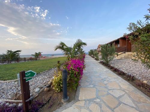 Garden, Turtle Beach Resort in Ras Al Hadd