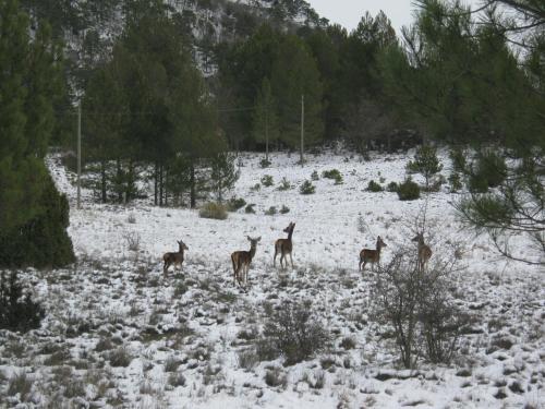 Létesítmények, Aire Turismo Rural in Una