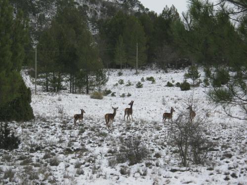 Aire Turismo Rural