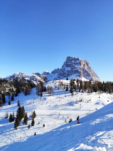 Dolomites Holidays