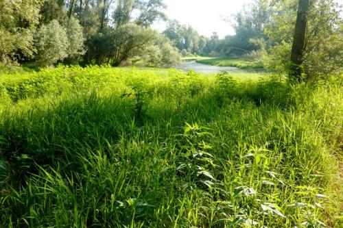 B&B Maison Parco Del Brenta - Accommodation - Curtarolo