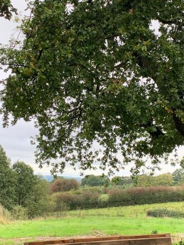 Glamping at Holly Grove Farm 4