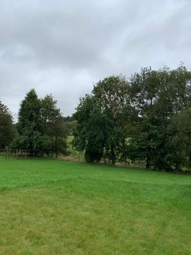 Glamping at Holly Grove Farm 5