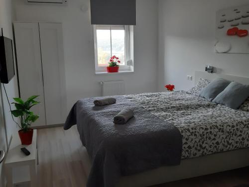 Szalok Spa Apartman Egerszalok