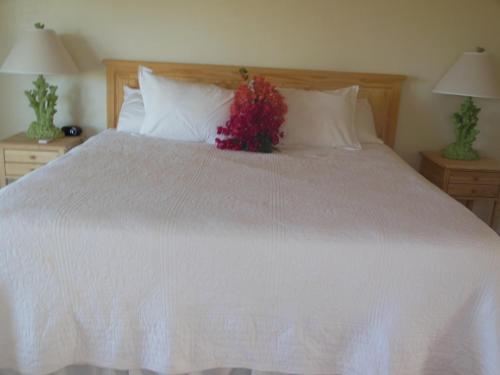 Winter Haven Inn