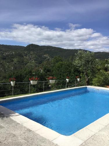 Casa da Loja - main image
