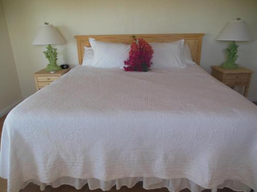 Winter Haven Inn