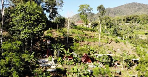 ECO Bedugul adventurer camp near Bedugul Botanical Garden