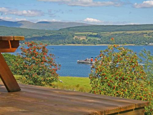 Larch, , Argyll and the Isle of Mull