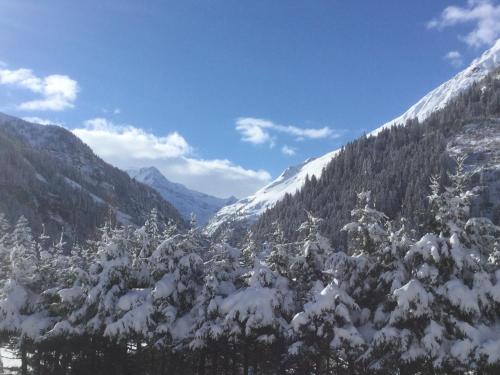 Kilátás, Appartementhaus Riepler in Bockstein