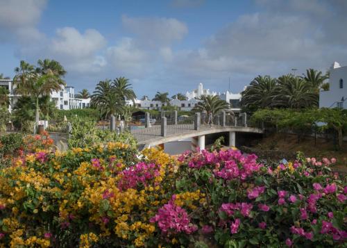 Las Marismas de Corralejo - image 7