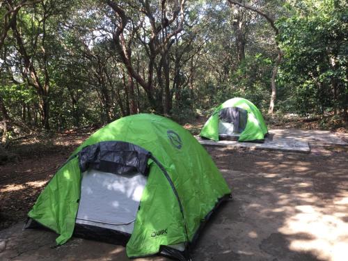 Born4tours tent stay