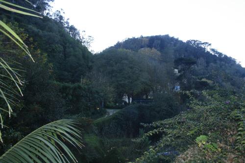 Hotel Sintra Jardim - main image