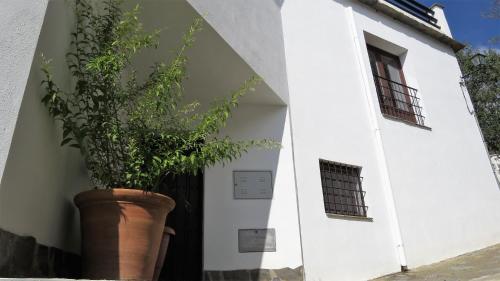 El Retiro