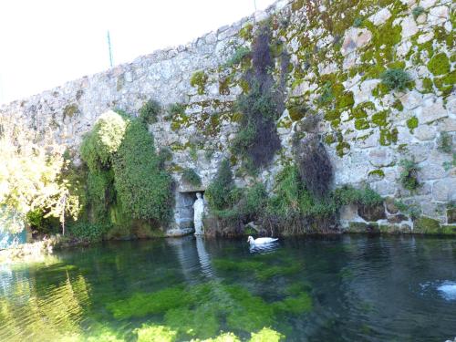 Casas do Toural - image 6