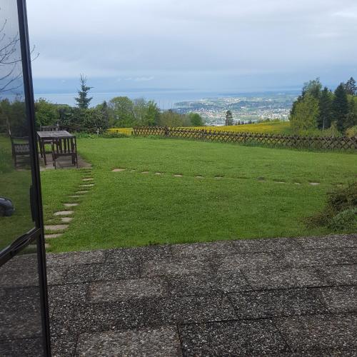 Junior Suite with Terrace