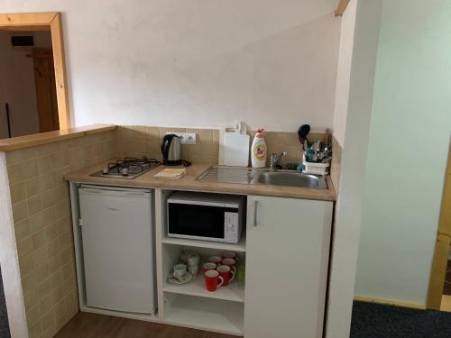 Miroslav Bednár-Bedomir (Miroslav Bednar-Bedomir) in เลโวก้า