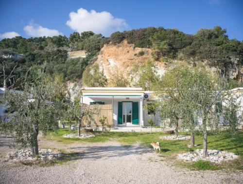 La Falesia di Paola gîte à louer Lupetto