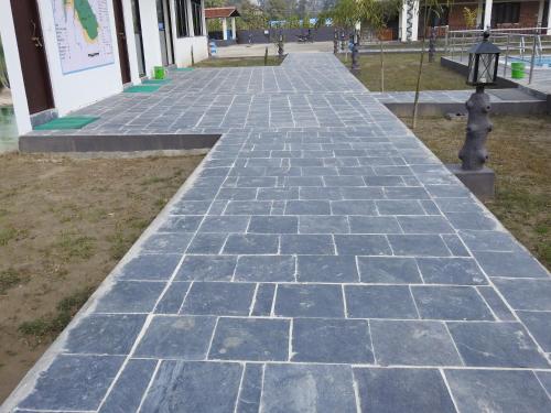 Babai Resort Pvt Ltd in Thakudwara