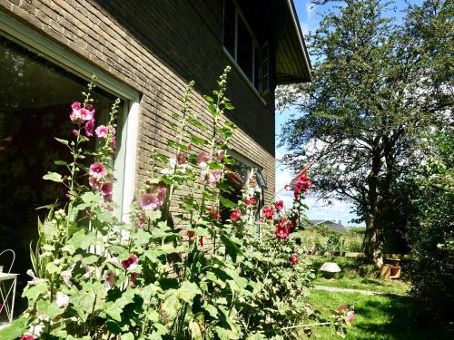 B&B de Pastory - image 2