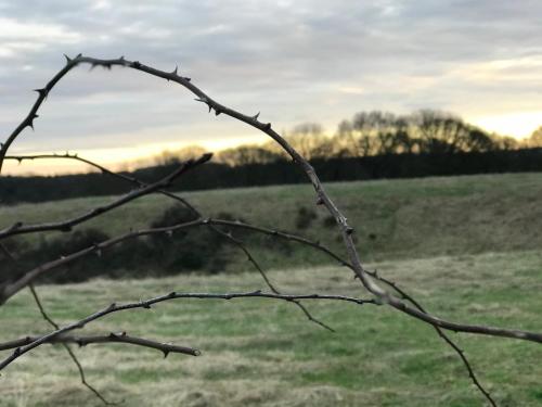 Riding Farm - main image