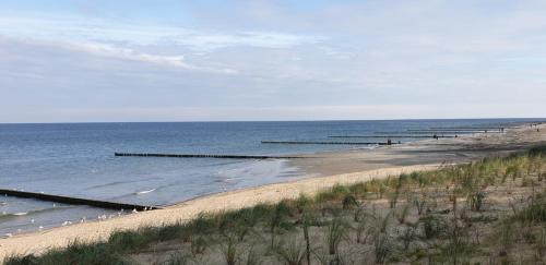 Ab zum Strand - image 12