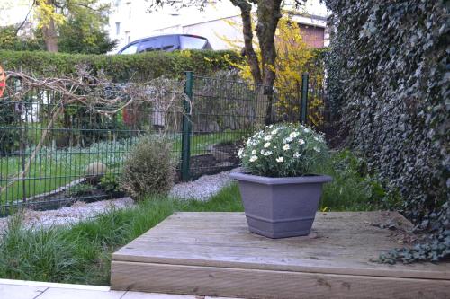 FeWo Kleeblatt mit eigener Terrasse, Wuppertal (Foto 9)