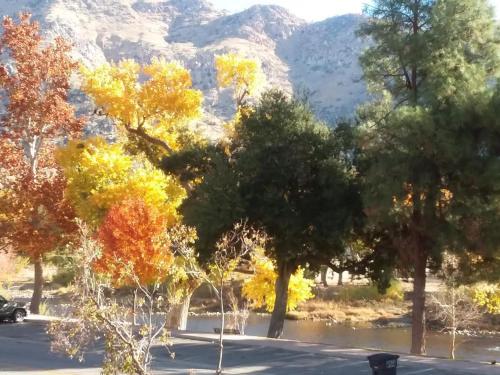 Kern Riverview Inn - image 4