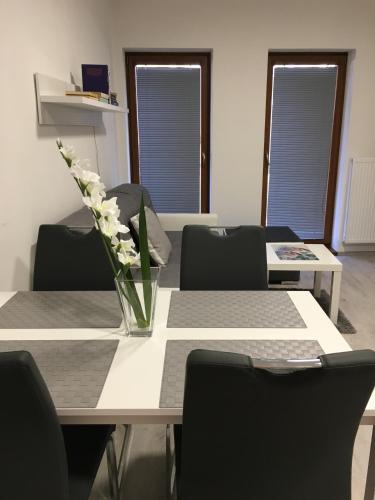 Facilities, KAMENICE NAD LIPOU, apartmany SOFIA in Kamenice Nad Lipou
