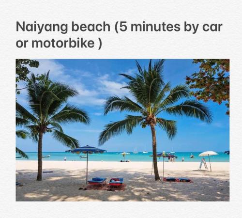 คานาล รีสอร์ท (Canal Resort) in สนามบินภูเก็ต