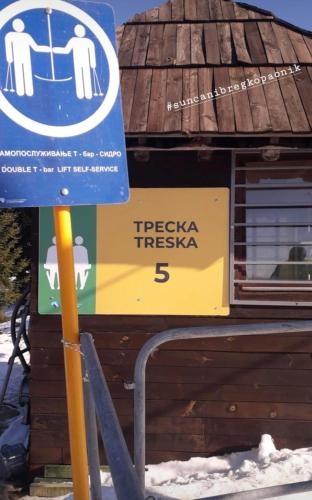 Vila Dizdarevic Kopaonik - image 6