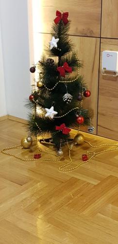 Dunja, Валево (фото 4)