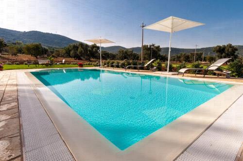 Swimming pool, HelloApulia - Trulli Francisto in Macchia di Monte