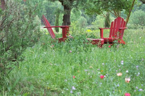 Une Campagne En Provence