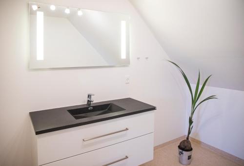 Bathroom, Kammerslusen in Ribe