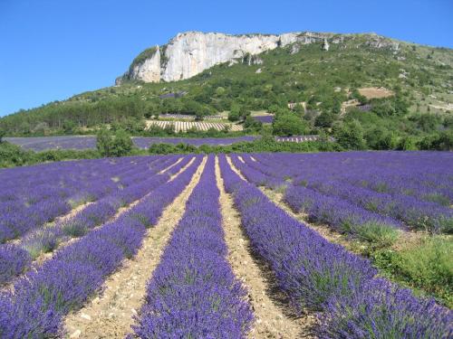 La Balme gîte à louer Montbrun-les-Bains