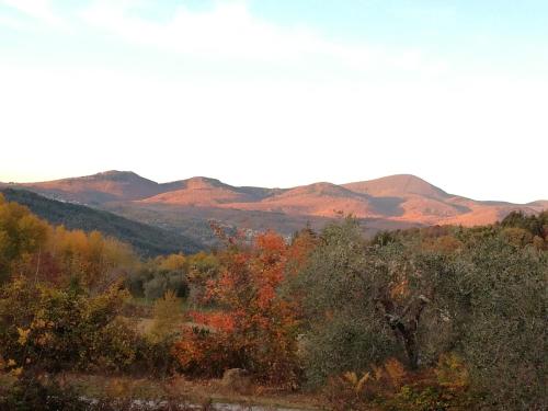 Podere di Maggio - Glamping tent 3