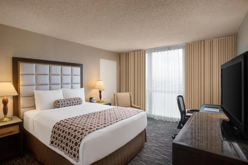 1 queen bed