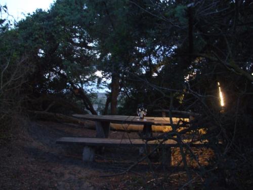  La Quercia-Erica in Sassetta