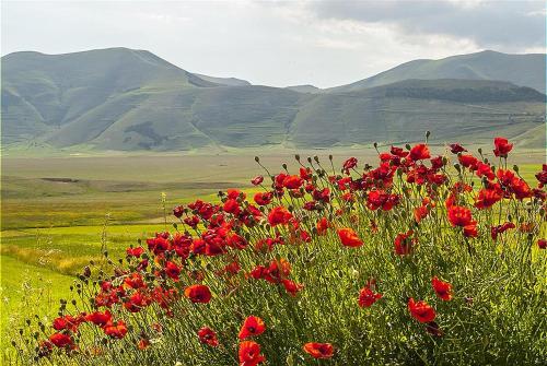  Villa La Quercia-Dalia in Sassetta