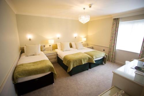 The Wyndham Hotel 3