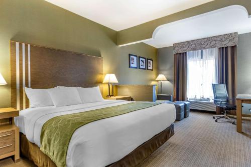 Comfort Suites Southgate-Detroit in Southgate, USA