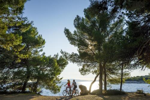 Imperial Valamar Collection Hotel - image 6