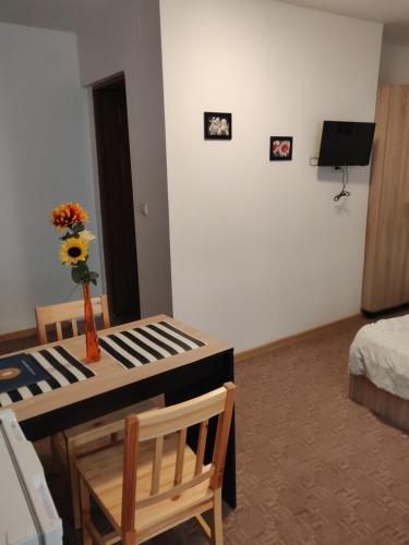 Sandor Central Studio Apartment Targu Mures