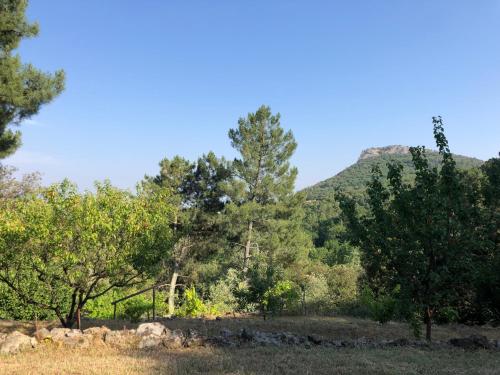 Casita Linda - mas en pleine nature - image 14