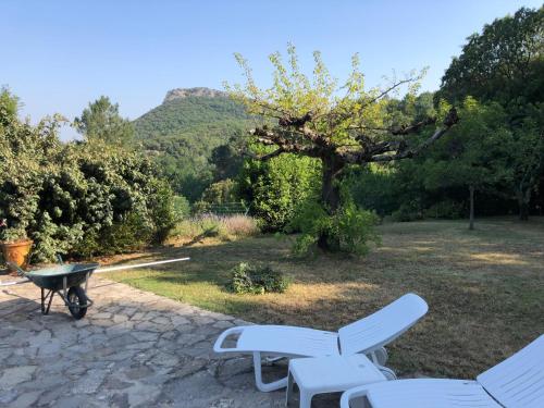 Casita Linda - mas en pleine nature - image 10