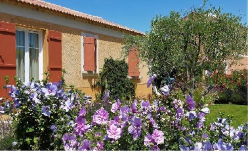 Villa au coeur de la Provence en toute sécurité gîte à louer Loriol-du-Comtat