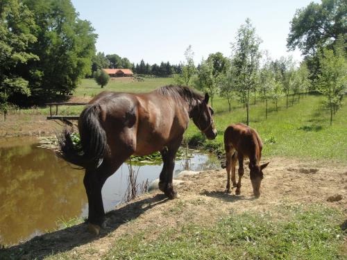  Country House Kod Strica in Ivanić-Grad